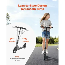 Vevor Scooter Schwarz