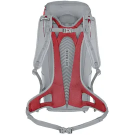 Salewa Alp Mate 30 WS Alloy