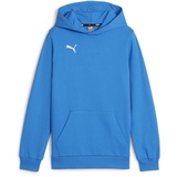 Puma teamGOAL Hoodie Jungen 02 ignite blue/white 164