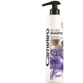 Delia Cosmetics Cameleo Silver 250 ml