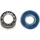 Enduro Bearings 6700 2RS ABEC 3 (Radial) - 10x15x4