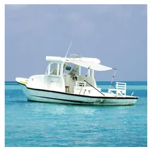 vidaXL T-Top-Beschattungsverlängerung 170 x 208 cm Wasserfest Weiß
