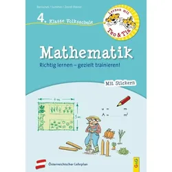 Lernen mit Teo und Tia Mathematik - 4. Klasse Volksschule