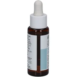 Collistar Attivi Puri Hyaluronic Acid Gesichtsserum 30 ml