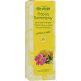 bergland gmbh Propolis Rachenspray