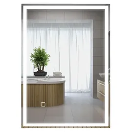 Homcom Badspiegel mit LED-Leuchte, 70 x 50 cm Silber