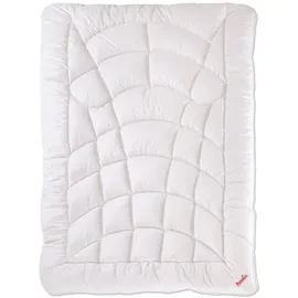 Paradies Winterdecke 155x220 Runa Bettdecke 155x220 Winter