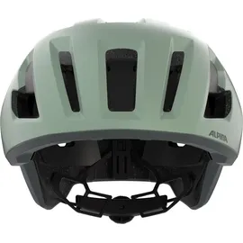 Alpina Taunus Gravel MIPS 55-59 cm Herren willow-green matt 2021