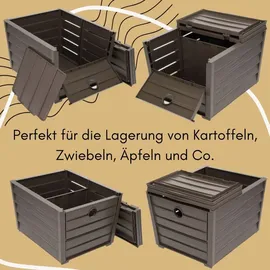 GarPet Kartoffelkiste 2er Set braun
