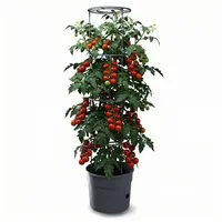 Prosperplast Tomatenpflanztopf Ø 29,5 x 24,4 cm Schwarz