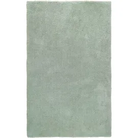 OTTO home Hochflor-Teppich OTTO HOME "Microfaser Teppich Magong, besonders weich, sehr feiner Flor" Gr. 6, grün (pastellgrün), B:200cm H:30mm L:300cm, Kunstfaser, Teppiche, uni, Wohnzimmer, Schlafzimmer, Kinderzimmer, auch rund und als Läufer