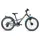 S'COOL XXlite alloy 2021 20 Zoll 7-Gang darkgrey/mint