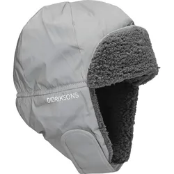 Didriksons Biggles Refl Cap silver (Z75) 50