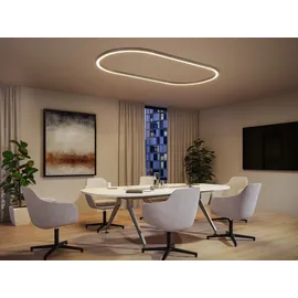 Paulmann Linion Einspeisung Power Channel LED-Netzteil 1m 17W Chrom matt