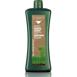 Salerm Biokera Spezifisches Schuppen Shampoo 1000 ml