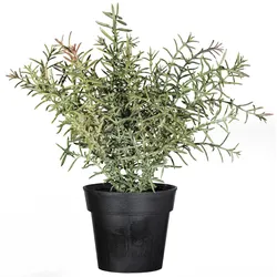 Kunstpflanze CREATIV GREEN "Rosmarin", grün, H:30cm, Kunststoff, Kunstpflanzen
