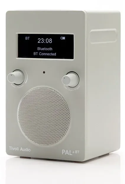PAL+ BT - Grau - DAB/DAB+/DMB/FM - Mono