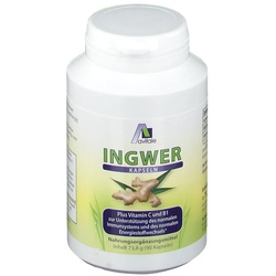 Avitale Ingwer