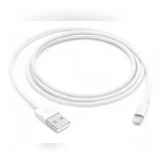 Apple Lightning to USB Cable 1m