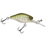Illex Crankbait Deep Diving Chubby 38 Vairon