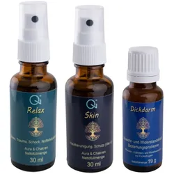 Qi - Health Haut Kombipackung 77 g