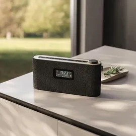 Loewe radio.frequency grau