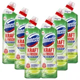 Domestos WC-Reiniger Gel extra stark 750 ml