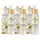 bedrop Anti Aging Serum 30 ml