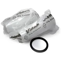 Grünbeck Ersatzfilterkerze 103007 80  2 St.