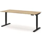 Assmann Electronic Schreibtisch Y-Line Eiche / Schwarz