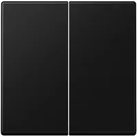 Jung Wippe 2-fach A 550 Lackiert Graphitschwarz Matt