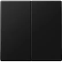 Jung Wippe 2-fach A 550 Lackiert Graphitschwarz Matt