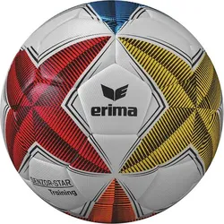 ERIMA Ball SENZOR-STAR Training, diverse, 5