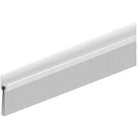 Ellen Türbodendichtung IBS 60 100cm Bürstenh. 39mm