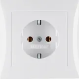Berker SCHUKO-Steckdose pws/gl 47428989