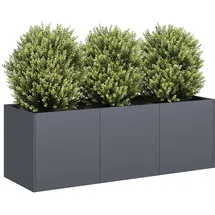 vidaXL Pflanzkübel 120 x 40 x 40 cm Anthrazit