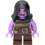 LEGO Ninjago: Ginkle