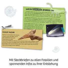 Kosmos 657918 Fossilien Ausgrabungs-Set, für Kinder ab 7 Jahren