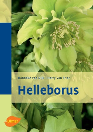 Helleborus - HANNEKE VAN DIJK  Harry Van Trier  Gebunden