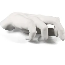 Memorabilia Mvsevm Dekoration Männerhand