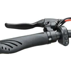 Joyor S5 schwarz