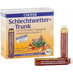 Hoyer Schlechtwetter-Trunk