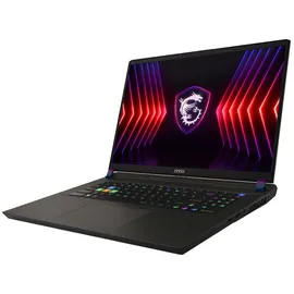 MSI Vector 17 HX A13VHG-677 Intel Core i9-13980HX, Gaming Notebook 43.2 cm (17")