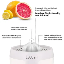 Lauben Electric Citrus Juicer 110WT