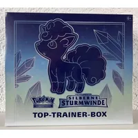 Pokémon Top Trainer Box Schwert & Schild Silberne Sturmwinde