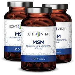 Echt Vital MSM - 3 Gläser 3x120 St
