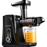 Amzchef GM3001-BK slow speed juicer (black), Entsafter, Schwarz