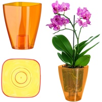 Kadax Blumentopf, Orchideentopf, Topf für Orchidee, Knabenkraut, Gänseblümchen, Orange