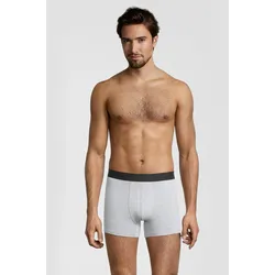 Boxershorts ALBERT SCHÄFER, Herren, Gr. XL, grau, 92% Baumwolle, 8% Elasthan, Unterhosen, aus bequemem Materialien