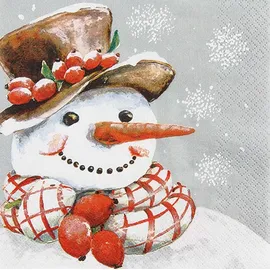 Home fashion Home Fashion, Frosty, Lunch-Servietten aufgefaltetes Maß 33 cm x 33 cm, im Viertelfalz, 20 Stück pro Pack